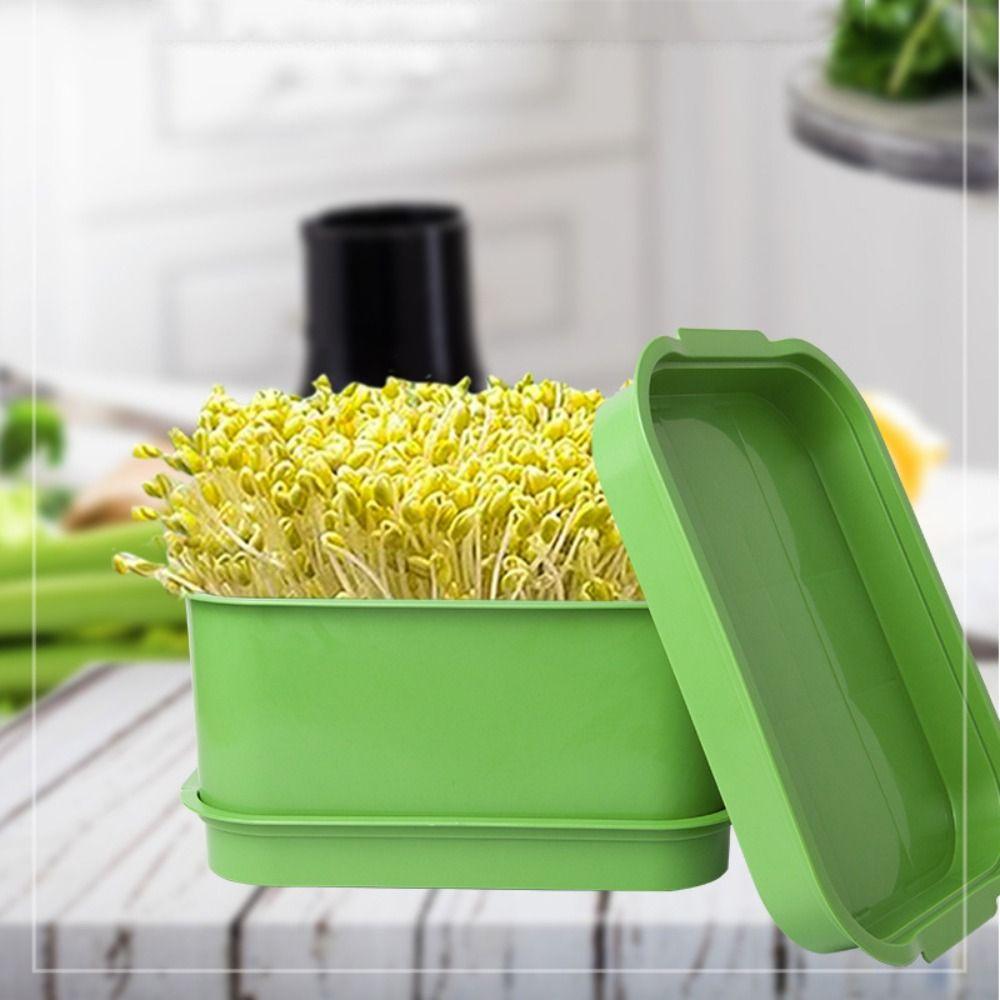 Green Sprout Dish Growing Pot Plastic Beans Seeding Pot New Plants Germination Tray