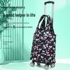 Portable Folding Shopping Cart with Telescopic Handle