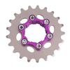 Pignon Monovitesse Acier Haute Résistance Roue Libre Roue d'Inertie Pignon Pièce pour Vélo à pignon fixe Facile à installer