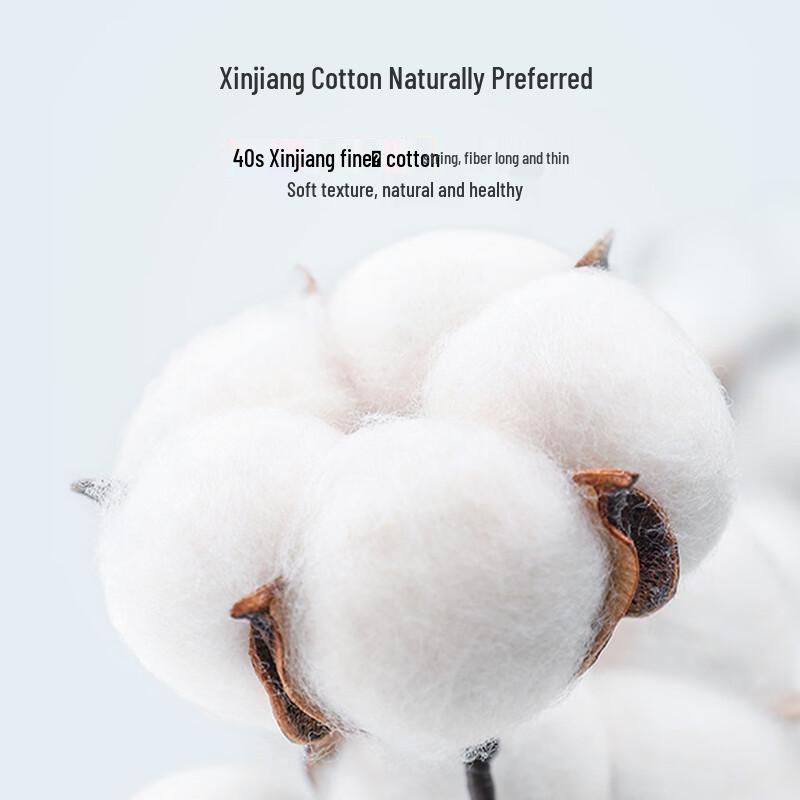 Cosmo Lady Women's Cotton 3-Pack Briefs