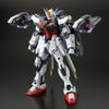 MG 1100 Lightning Strike Gundam Ver. RM Plastic Model (Hobby Online Shop Exclusive)