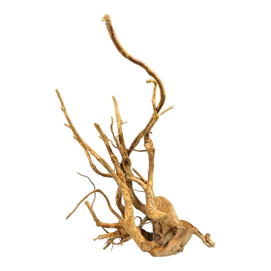 BioRoot Red Moor S / 20-30cm / Japanese root for terrariums and aquariums