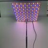 Full Spectrum LED Quantum Board Grow Light for Seedlings, Green Plants, Aquariums, and Succulents