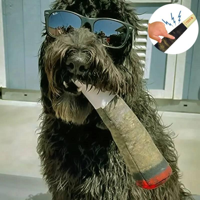 Jouet pour chien réaliste en forme de cigare vert Fabriqué en peluche de qualité supérieure Pour des animaux heureux
