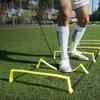 Agility Training Ladder