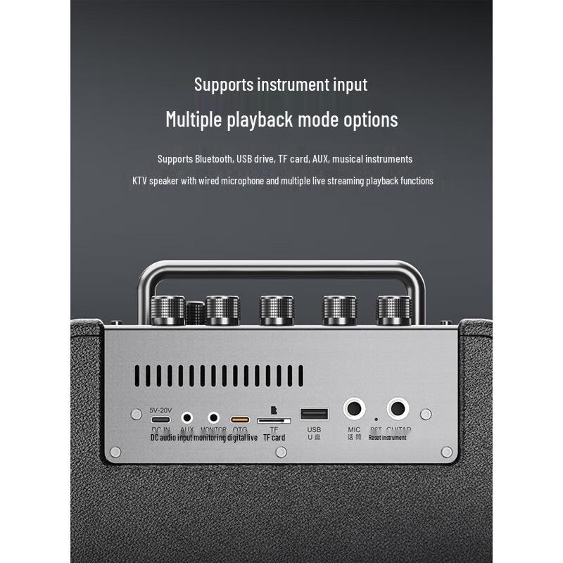 W-King T6S Portable Karaoke Bluetooth Speaker