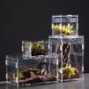 Terrarium Habitat Insect Spider Lizard Scorpion Feeding Cage Arboreal Enclosure Case Acrylic Transparent Reptile Breeding Box