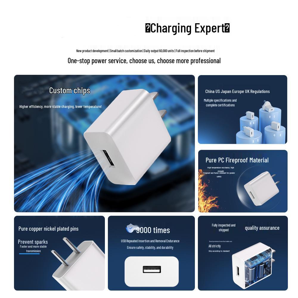 5V 2A USB Mobile Charger with UL, EU, and PSE Certification