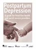 The Postpartum Depression : A Guide for Front-Line Health and Social Service Providers Book