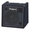 Roland KC-400 Keyboard Amplifier 60W Compact Design Portable Sound System