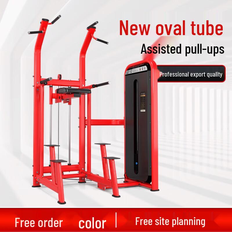 Punch-free Assisted Pull-up & Dip Station