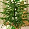 Simulated Pure PE Leaf Small Mini Desktop Christmas Tree Ornament Norfolk Pine Christmas Ornament
