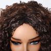 ALAN EATON Women's Kinky Curly Wigs for Black Women Black/Dark Brown Synthetic Wigs Heat Resistant Daily Party
