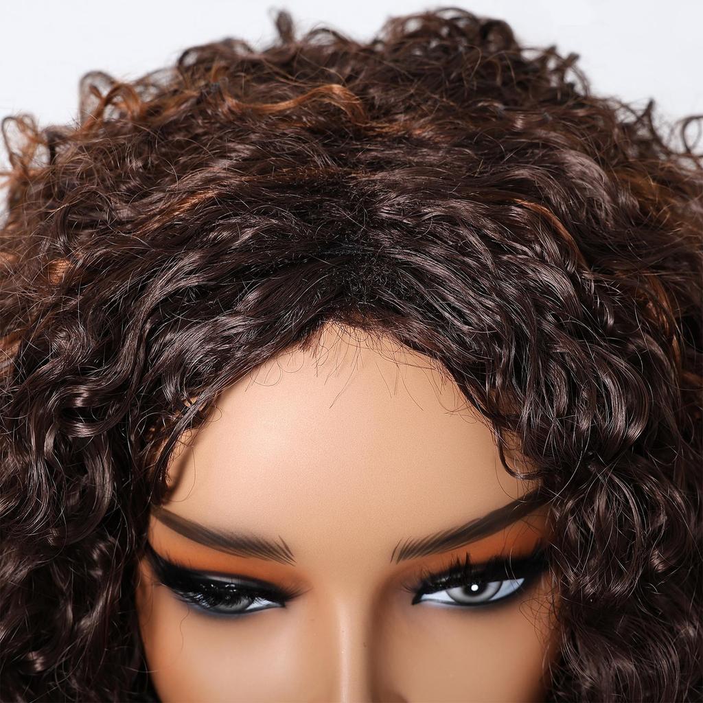ALAN EATON Women's Kinky Curly Wigs for Black Women Black/Dark Brown Synthetic Wigs Heat Resistant Daily Party