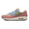Nike Air Max 1 'Light Madder Root' DV3196-800