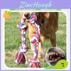 Pet Dog Chew Toy With Cotton Rope For Large Dogs Durable Tether Play