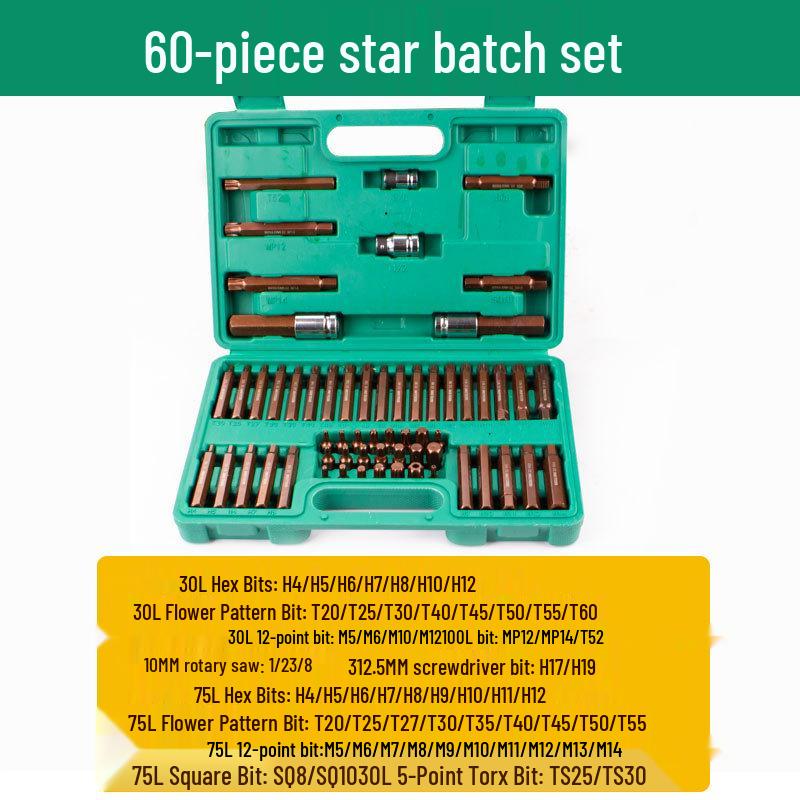 60-Piece Spline Socket Wrench Set: 12-Point Star & Torx Bits for Auto Repair