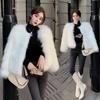 Autumn and Winter New White Fur Coat Women's Short Imitation Fox Hair Young Wool Coat