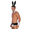Mens Lingerie Set Bowknot Briefs Bunny Ears Headband Bowtie Collar Cuffs Halloween Costume