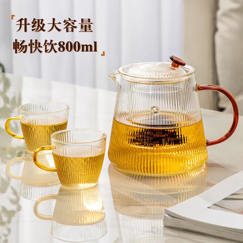 Heat-Resistant Glass Teapot Set with Tea Infuser 800ml Pot + 2 Cups
