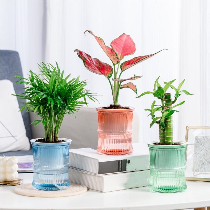 Lightweight Automatic Hydrating Sustaining Plant Container Planter Flower Pot With Vibrant Color Option for Indoor Plant
