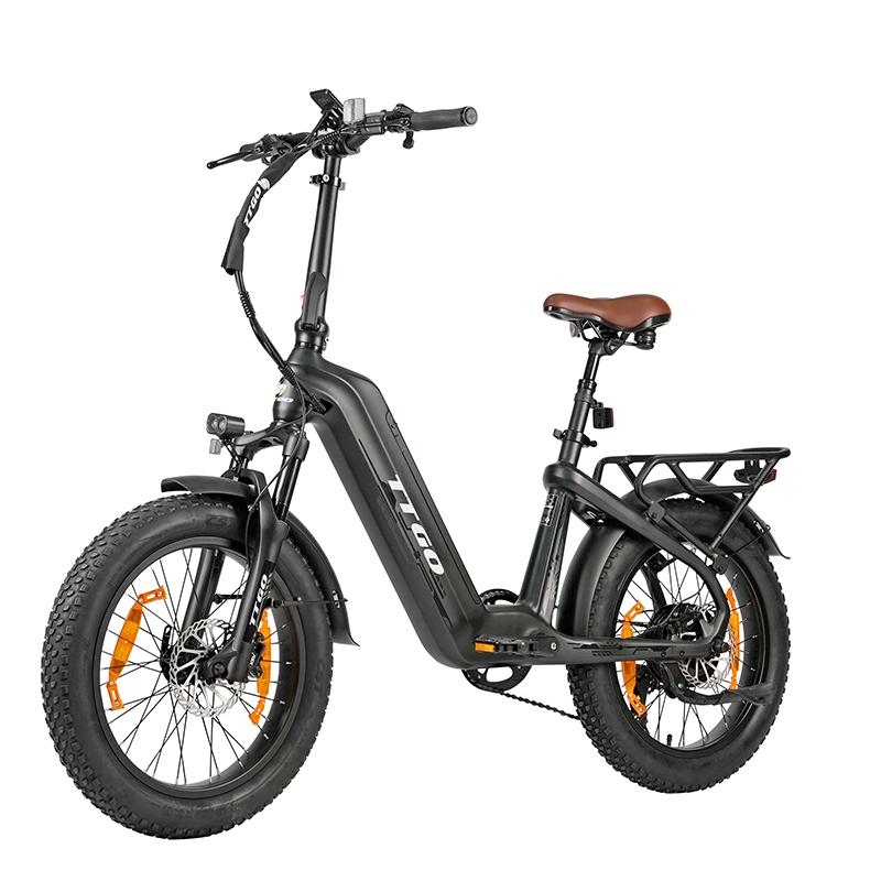 TTGO F8 City Hight-End Electric Bicycle 48V18Ah Battery 20 Inch Fat Tires 250W Motor 25 km/h Speed 150KG Load Outdoor Riding E-Bike
