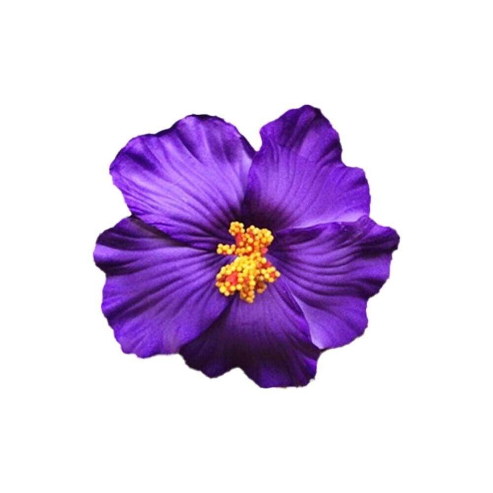 Headwear Hawaiian Flower Hair Clips Side Bangs Clip Hair Accessories Artificial Flower Clips Romantic