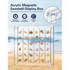 Seashell Display Box – 36 Grid Clear Acrylic Shell Holder & Organizer Case with Magnetic Lid for Sea Shell Collection, Crystals & Mini Collectibles
