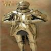 Medieval Full Body Knight Costume Armor Combat Armor Gothic Armor Fighting Warrior