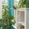 Wear Resistant Parrot Defecation Stand Bite Resistant Bird Feeding Rack  Bird Entertainment