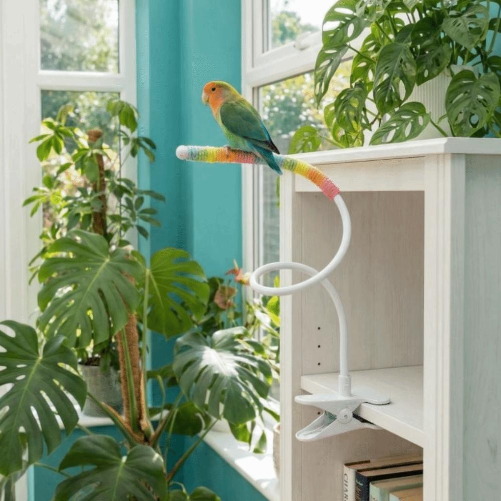 Wear Resistant Parrot Defecation Stand Bite Resistant Bird Feeding Rack Bird Entertainment