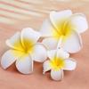 Fiori di Plumeria Plastica Bohemien Frangipani Fermaglio per Capelli Fermagli da Sposa Accessori da Spiaggia Regalo per Ragazze