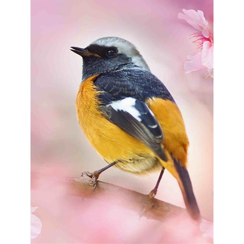 

Новый 5D DIY алмазная живопись птица Алмазная вышивка животные вышивка крестиком полная квадратная круглая дрель ремесла домашний декор ручной подарок Full Round 30x40CM