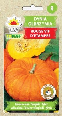 Giant Pumpkin Rouge Vif d`Etampes Vegetable Seeds for the Garden Fresh Large Yields