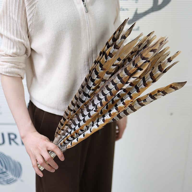 Pheasant Feather Long Plumes for Peking Opera Performance - Sun Wukong Theme