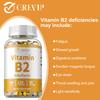 GREVIP Vitamin B2 Riboflavin, 400 mg per serving, supports energy and metabolic health, non-GMO.
