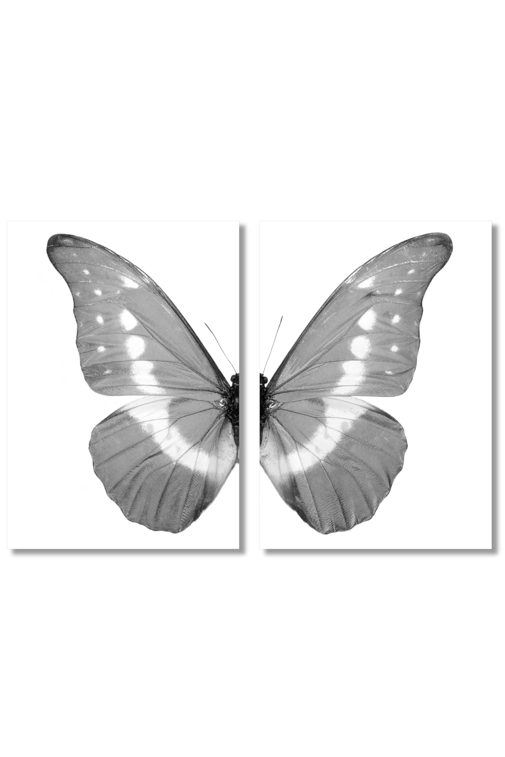 

Set of 2 A2 Butterfly Art Posters, Stylish Interior Design Wallpaper Posters, Made in Japan, Color and Monotone... (Monotone)