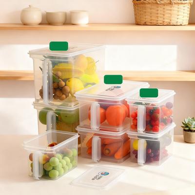 Transparente Küchen-Lebensmittelaufbewahrungsbox mit Griff - Kunststoff-Obst-Gemüse-Aufbewahrungsbehälter für Kühlschrank Frischhaltung