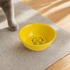 Raised Pet Bowl Ceramic Cat Bowl with Stand Tilted Pet Food Bowl Protect