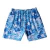 Costume da Bagno da Uomo Brand Tartaruga Shorts da Nuoto Estivi Asciugatura Rapida Pantaloncini da Spiaggia Con Tasche Laterali e Fodera in Rete Costumi da Bagno