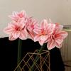2Pcs Artificial Amaryllis Flowers Stem Real Touch Large Tropical Flowers Clivia Flowers for Vase Arrangements Home Office Decor