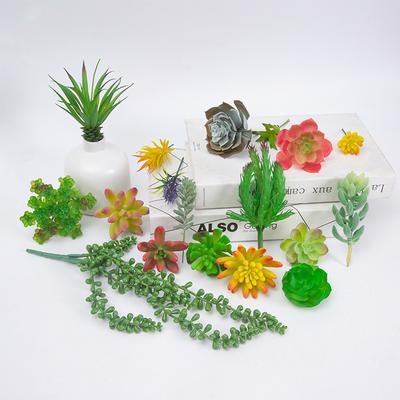 Set0873 Simulation Succulent Plant Set Mixed With Home Bonsai Shopping Mall Decoration Shooting Props