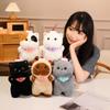 Adorable Japan Bring Cat Plush Toys Stuffed British Shorthair Grey White Orange Ragdoll Pussy Kitten Doll Table Accompany Toys