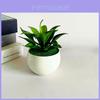 Künstliche Sinocrassula Indica Pflanze im Topf aus PVC-Material für Heimdekoration und Foto-Requisiten