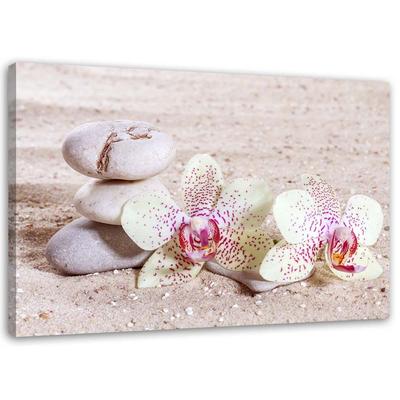 Ev Dekoru – Tablolar ve Posterler
