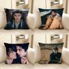 Pc Chasing Jade Zhang Linghe Tian Xiwei Pillow Case Fashion Square Pillowcase Bedroom Sofa Room Ins Decoration Leisure