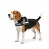 Harnais réglable pour chien Pluto noir XL