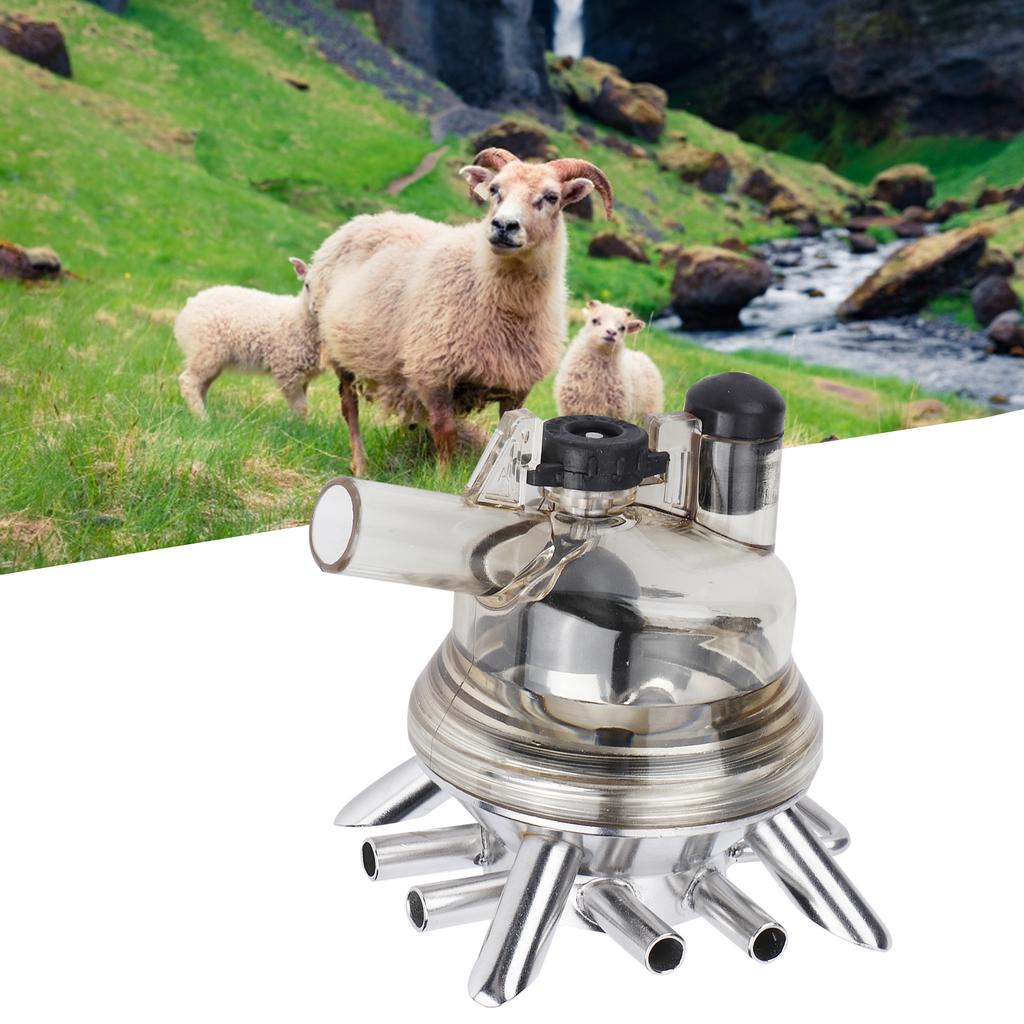 150ml kolektor mleka krowiego krowa owca dojarka dojarka część wymiana mleka pazur Cluster