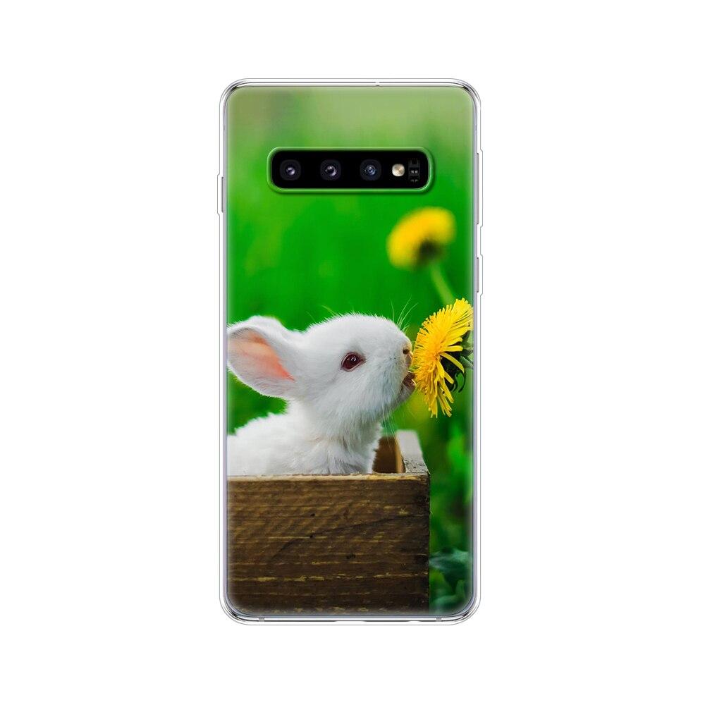 Für Samsung Galaxy S10 Hüllen S10Plus Hülle Silikon TPU Abdeckungen Telefon S10 E Hülle Auf Für Samsung S10 Plus G975F S 10 SM-G973F Hülle