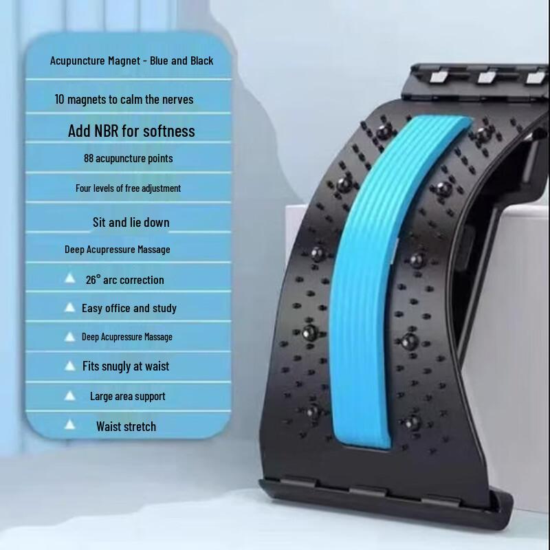 Mussel Lumbar Relief Support Belt